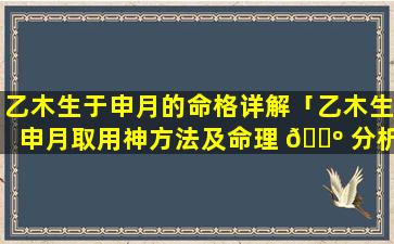乙木生于申月的命格详解「乙木生申月取用神方法及命理 🌺 分析」